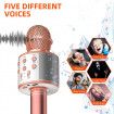 Bluetooth Karaoke Microphone Wireless Microphone Professiona Speaker Handheld Microfone 2cols availble