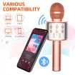 Bluetooth Karaoke Microphone Wireless Microphone Professiona Speaker Handheld Microfone 2cols availble