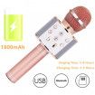 Bluetooth Karaoke Microphone Wireless Microphone Professiona Speaker Handheld Microfone 2cols availble