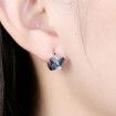Crystal Butterfly S925 Sterling Silver Earrings