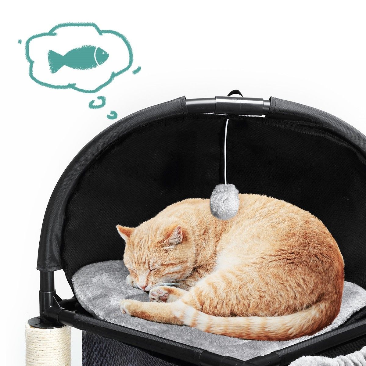 https://img.bestdeals.co.nz/products_pictures/253/25368_223942_F.jpg