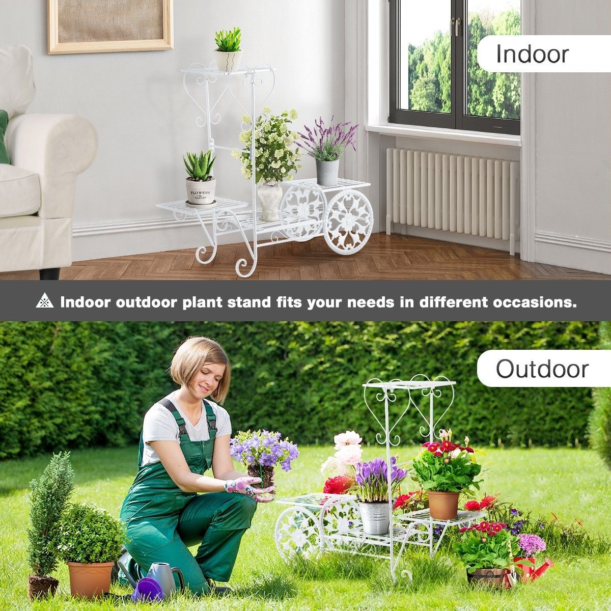 https://img.bestdeals.co.nz/products_pictures/254/25423_224183_F.jpg
