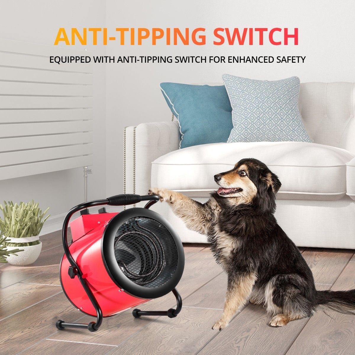 https://img.bestdeals.co.nz/products_pictures/254/25447_224456_F.jpg