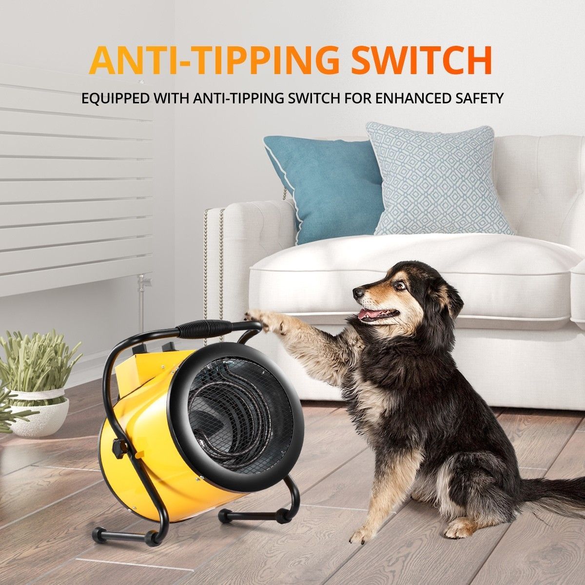 https://img.bestdeals.co.nz/products_pictures/254/25448_224469_F.jpg