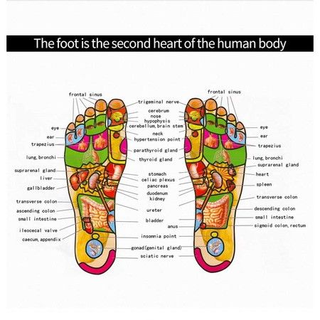 https://img.bestdeals.co.nz/products_pictures/254/25487_224964_F.jpg