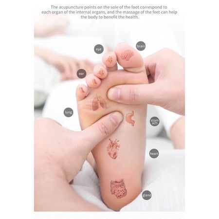 https://img.bestdeals.co.nz/products_pictures/254/25487_224966_F.jpg
