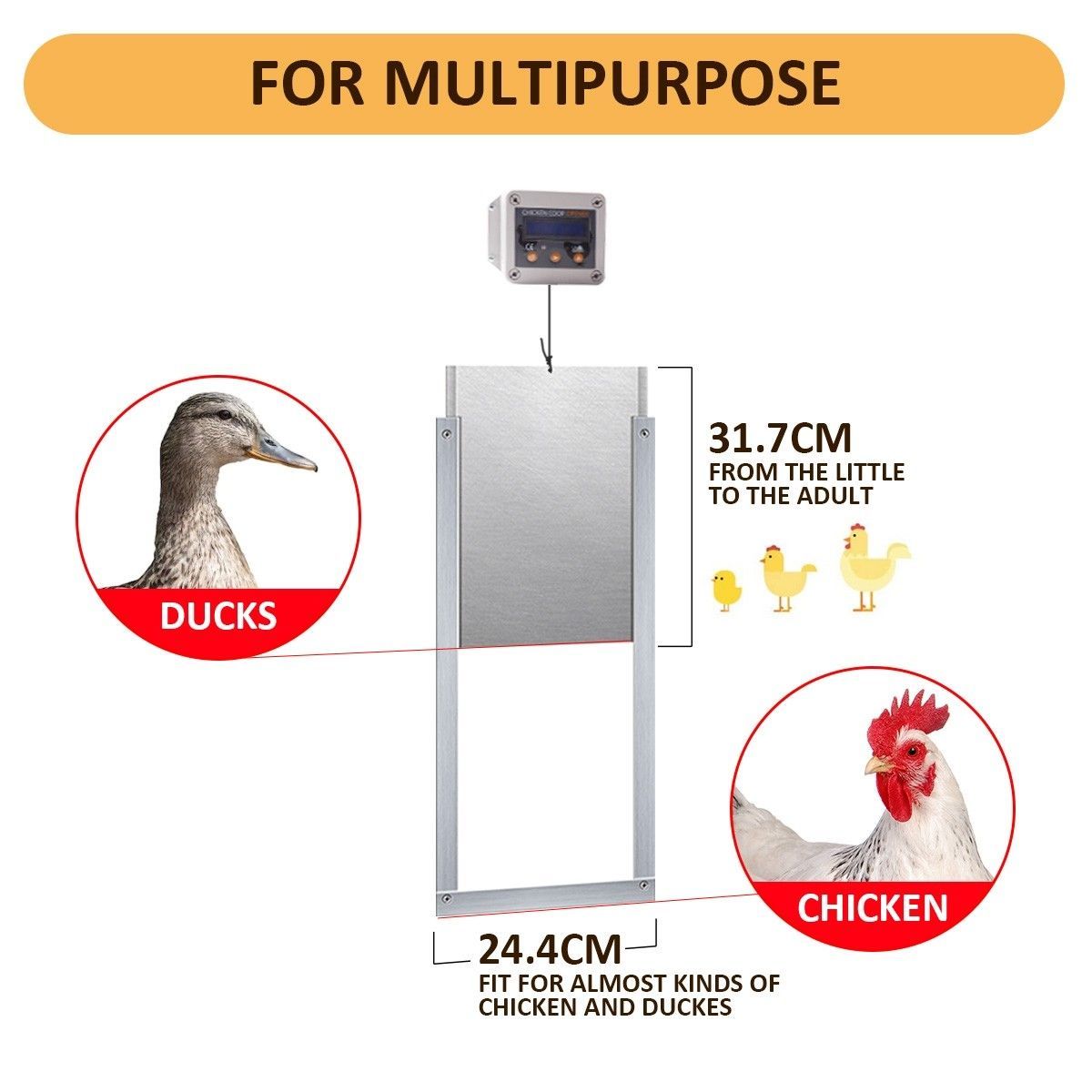 https://img.bestdeals.co.nz/products_pictures/254/25489_224996_F.jpg
