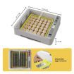 Digital Fully Automatic Egg Incubator 36-120 Eggs Poultry Hatcher Chicken Duck Bird Auto Turning