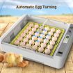 Digital Fully Automatic Egg Incubator 36-120 Eggs Poultry Hatcher Chicken Duck Bird Auto Turning