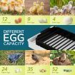 12 Egg Incubator Auto Egg Turning Digital Chicken Goose Duck Quail Eggs Hatcher LED Lighting Machine