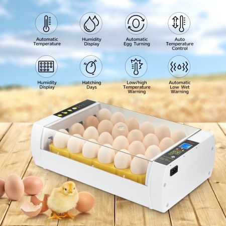 Digital Egg Hatching Incubator with LED Egg Candler and Temperature Humidity Control Incubators for Hatching Eggs Chicken Quail Tortoise 24 Eggs Incubator with Automatic Egg Turning 