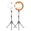 240 LED Dimmable LED Ring Light 18" 5500K for Makeup Selfie Photography Live Streaming