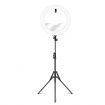 240 LED Dimmable LED Ring Light 18" 5500K for Makeup Selfie Photography Live Streaming