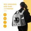 Petscene Dog Cat Crate Pet Carrier Cage Puppy Kitten Bubble Backpack Grey