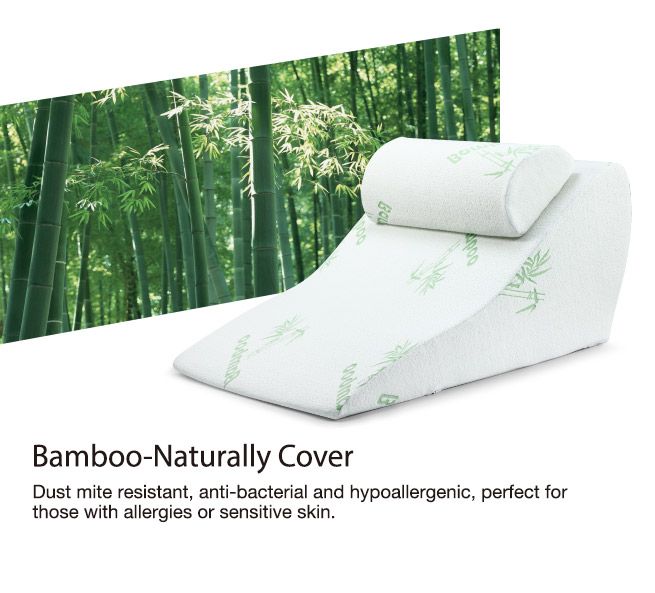 Luxdream 2 Pcs Foam Bed Wedge Pillow and Headrest with Breathable Bamboo Cover