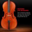 Melodic Full-size 4/4 Cello Outfit with Carrying Case