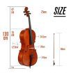 Melodic Full-size 4/4 Cello Outfit with Carrying Case