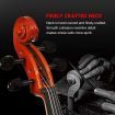 Melodic Full-size 4/4 Cello Outfit with Carrying Case