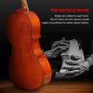 Melodic Full-size 4/4 Cello Outfit with Carrying Case