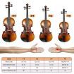 Melodic 3/4 Size Electric Violin with Carrying Case Nature