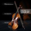Melodic 3/4 Size Electric Violin with Carrying Case Nature