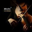 Melodic 3/4 Size Electric Violin with Carrying Case Nature