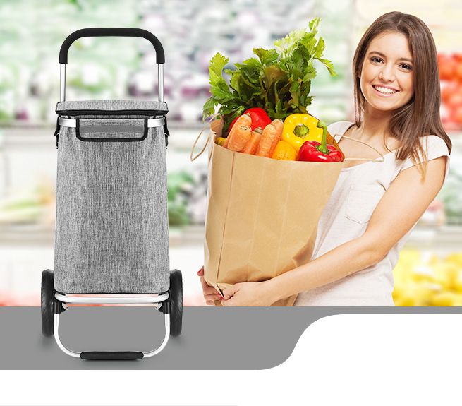 Waterproof Shopping cart Trolley Foldable Aluminium Grocery Bag Grey