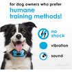 Rechargeable Dog Bark Collar - Humane, No Shock Barking Collar - w/2 Vibration and Beep Modes - Small, Medium, Large Dogs Breeds - No Harm Training - Automatic Action Without Remote - Adjustable(Blue)