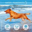 Rechargeable Dog Bark Collar - Humane, No Shock Barking Collar - w/2 Vibration and Beep Modes - Small, Medium, Large Dogs Breeds - No Harm Training - Automatic Action Without Remote - Adjustable(Blue)