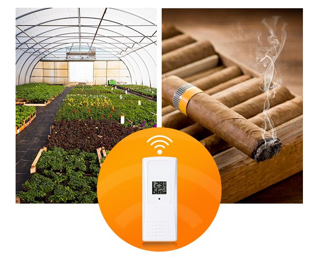 Maxkon WIFI Weather Station Solar Powered for UV Light Temperature Humidity Wind Speed