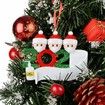 2020 Christmas Tree Hanging Ornament Kit Personalized 3 Family Members Names Decoration