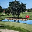 Professional Golf Flagsticks Putting Green Set with 6ft Hole Cup Flags for Practice