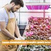 Grow Light 45W LED Grow Lights for Indoor Plants UV IR Plant Lamp for Hydroponics Greenhouse Vegetable and Flowers