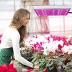 Grow Light 45W LED Grow Lights for Indoor Plants UV IR Plant Lamp for Hydroponics Greenhouse Vegetable and Flowers