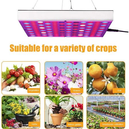 https://img.bestdeals.co.nz/products_pictures/267/26700_235162_F.jpg
