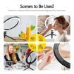 10 Inch LED Ring Light Selfie Ring Light with Desktop Stand for Live Video Photography