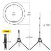 8 Inch LED Ring Light Selfie Ring Light with Tripod Stand for Live Video Photography
