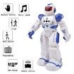 Rc Remote Control Robot Smart Action Toy for Kids Infra-Red Transmitter Allows Gesture