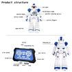 Rc Remote Control Robot Smart Action Toy for Kids Infra-Red Transmitter Allows Gesture