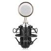 LEIHAO BM - 8000 Professional Sound Studio Recording Condenser Microphone