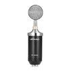 LEIHAO BM - 8000 Professional Sound Studio Recording Condenser Microphone