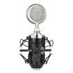 LEIHAO BM - 8000 Professional Sound Studio Recording Condenser Microphone