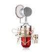 LEIHAO BM - 8000 Professional Condenser Microphone