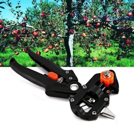 https://img.bestdeals.co.nz/products_pictures/275/27525_242051_F.jpg