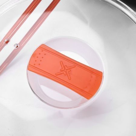 https://img.bestdeals.co.nz/products_pictures/275/27553_242270_F.jpg