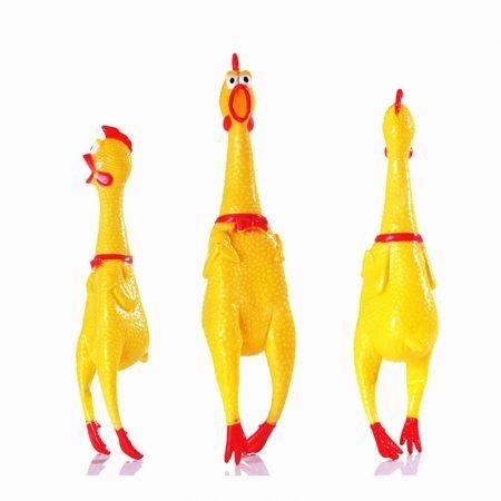 https://img.bestdeals.co.nz/products_pictures/279/27902_244577_F.jpg