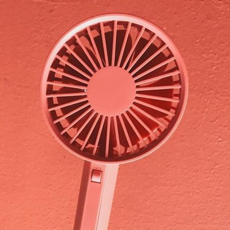 https://img.bestdeals.co.nz/products_pictures/279/27958_244879_F.jpg