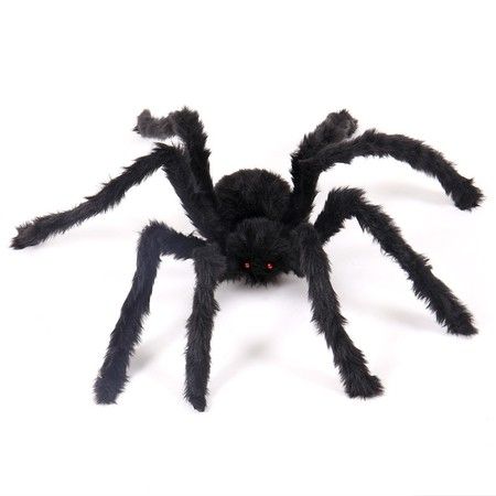 https://img.bestdeals.co.nz/products_pictures/282/28203_246563_F.jpg