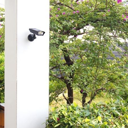 https://img.bestdeals.co.nz/products_pictures/282/28296_247091_F.jpg