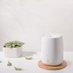 Happy Life Portable USB Mini Aroma Humidifier